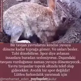 Bir lokma et için telef olan bir sürü can..