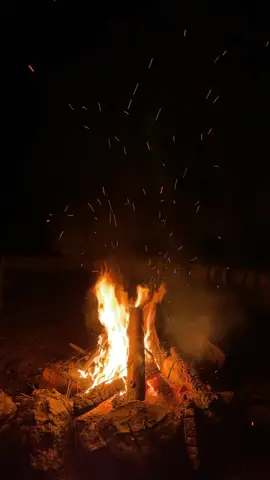 sounds of  a campfire on a summer night                                                         #campfire #fypシ #fyp #asmrsounds  #camping #mountains