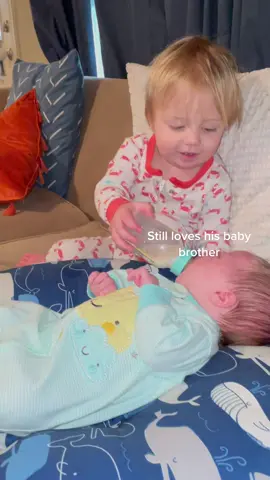 The best big brother #brothers #baby #toddler #bigbrother #rowdy