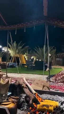 #محمد_عبده #يانون_وش_لي_عقب_ظلمه_تبقي #اكسبلور_تيك_توك #ترند_تيك_توك 🤍