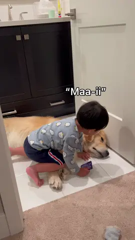 The purest form of empathy and love 🥺💙#dogsoftiktoks #babyanddog #emphathy #Love #storytime