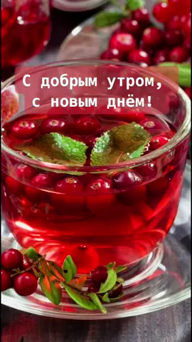 #сдобрымутром #доброгоутра #пожеланиядрузьям #хорошегодня #хорошегонастроения
