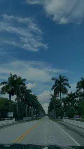 miami was really it. #fyp #miamitrip