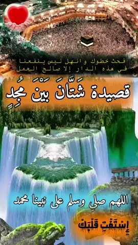 قصيدة شَتَّانَ بَيْنَ مُجِدٍ#اكسبلور #ترند #قصيدة  #استفت_قلبك #السعودية
