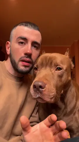I PITBULL IMPAZZISCONO AD UNA CERTA ETÀ