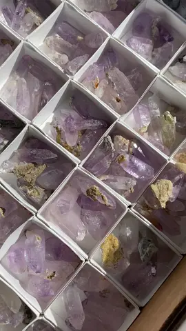 A sea of Vera Cruz Amethyst💜 #amethyst #veracruz #gemshow #tucsongemshow #tucson2022 #crystalshop #crystalseller #crystaltok