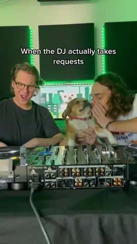 We tipped him in treats #dogsofttiktok #dj #dance #elfitup #newmusic