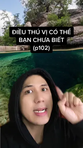 Những nơi tuyệt đối không nên bơi #LearnOnTikTok #hoccungtiktok #davoslingo