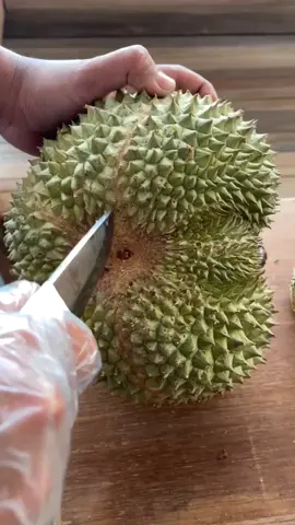 DURIAN DURI HITAM ( blackthorn / ochee ) .... 🤤🤤🤤😍😍😍 #GoWinterGames #fypシ #fyp