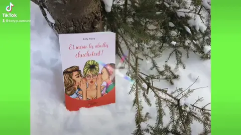 #BookTok #lecture #chicklit #pourtoi #amour #foryou
