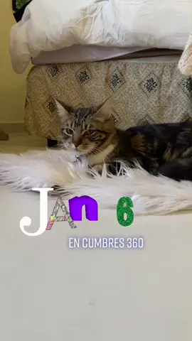 6 de enero 2021: triiii les recomiendo visitar cumbres 360! Búsquenlo en Airbnb💖 tenía días de no hacer de estos jiji