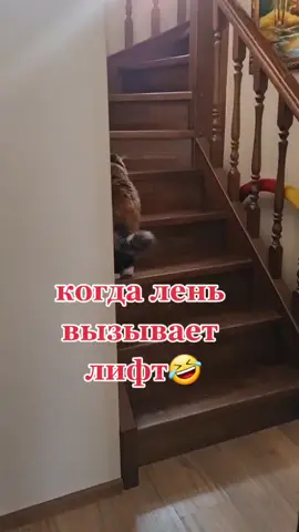 иногда сама залетает, а иногда лень😃