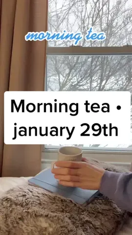 what’d you guys do on snow days / lazy weekends? #journaling #morningtea #thehatinggame #journaltok