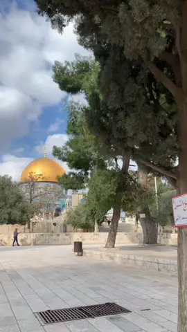 My City #aesthetic #palestine #jerusalem #oldcity #الاقصى #القدس