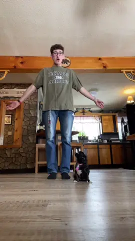 Reply to @gabrielhernand254  Facts About Josh ❤️😂 #ITriedItIPrimedIt #pets #dogs #tiktok #viral