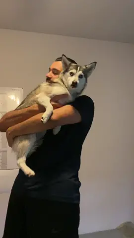 #dogdad