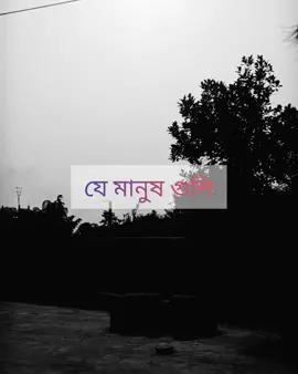 @najmulff