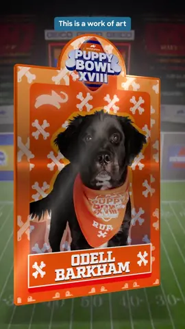 Puppy Bowl NFTs available now at PuppyBowl.com/Collect 🐶 Proceeds benefit Orange Twins Rescue 🧡 #puppybowl #nft #nfts