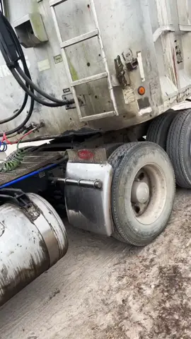 Just trying to be a trash hauling big dad @iron.mike.sharp, #gfym #bluecollar #LifeIsGood #ITriedItIPrimedIt #yeeyee #citruscounty #workflow #repair #peterbilt