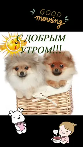С добрым вас утро!! #открытка #доброеутро #собаки #внуку #внучке #сыну #дочка