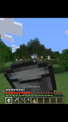 Чуть не перепутал, но вроде обошлось #Minecraft