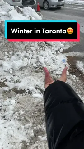 The snow is only pretty for about 6 hours before it looks like landfill😍😩 #torontowinter #toronto #fy #viral #winterishere #funny