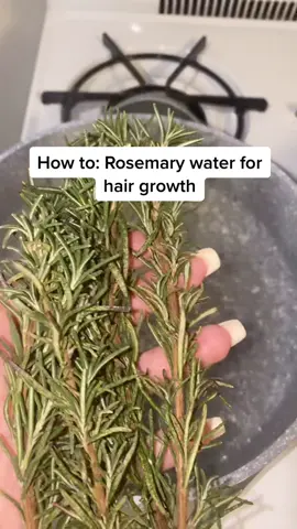 How to grow your hair with#rosemarywater #hairgrowthtips #rosemaryforhair #rosemarywaterforhairgrowth #rosemaryhairtreatment #hairgrowthhacks #health
