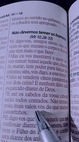 Mateus 12-4