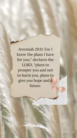 Good morning Tiktok fam ☺️ Memory Verse of the Day - Jeremiah 29:11 🧡 #fyp #fypシ #foryou #memoryverseoftheday #christiantiktok