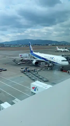 #ana #groundhandlingstaff #airport #ญี่ปุ่น #japanquality
