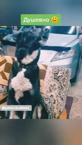Душевно 😊