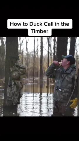 How to Duck Call in the Timber. #duckcalling #tutorial #duckhunting #midwestflyways