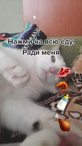 Хейт-бан