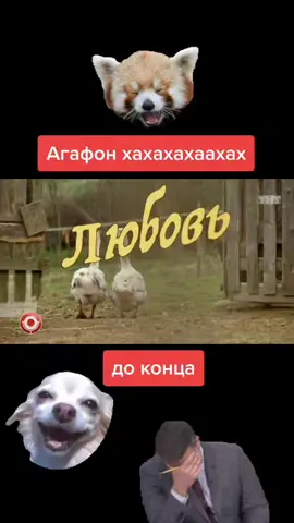 #zzzmrnobodyzzz #comedyclub #камедиклаб #tnt #тнт #ору #ржунемогу #прикол #приколы #ржака #смешно #сериал #рекомендации #хочуврек #хочувтоп #fyp #on
