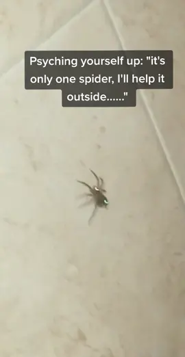 Mexico was a scary place 😅🤣🕷 #OhNo #sendhelp #theressomany #mexico #honeymoon #vacation #travel #spider