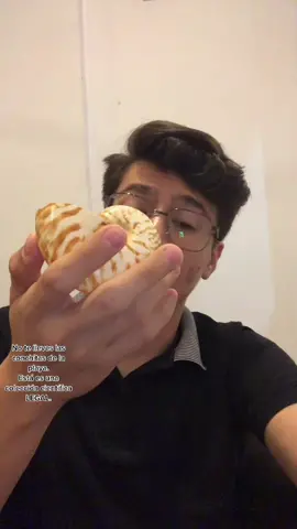 Si el video llega 100K le regalo una a quien comente el nombre de todas las conchas (no valido para el nautilus) xd #trend #biologia #AprendeEnTikTok