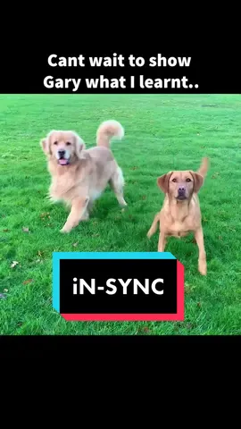 Fam is back tomorrow!!🥳🥳🤩 #syncronizedswimming #not #dogtricks