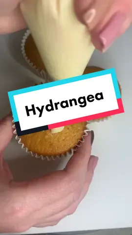 Such a beautiful filler flower, the hydrangea #cupcake #pipingvideo #wilton2d #hydrangea #flower #buttercream #cupcakevideo #buttercreamflower #caketo