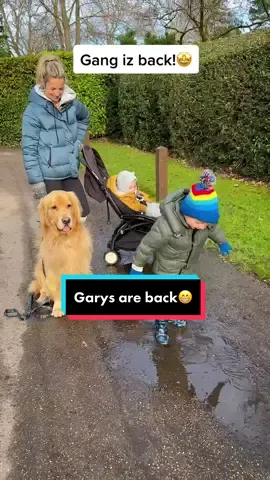 Independent pup🐶 #backhome #independentdog #golden