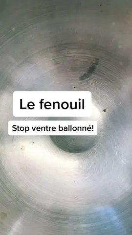 @naturolifenice 🌱🌱 Retrouvez la tisane allaitement sur mon site ( lien en bio) #naturopathe #medecinealternative #plantesmedicinales #herboristerie