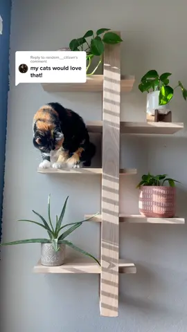 Reply to @random__citizen cat / plant shelf #gerberdesignco #catshelf #catsoftiktok #cattok #floatingshelves #cats #homedecor #walldecor #diydecor #fy