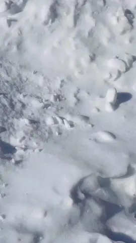 Life in Chicago @Morning Bird Home #MorningBirdMoments #snowfun #funtimes #beingme #dance #dancinginthesnow #mondays