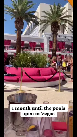 Pool party season is coming 😎 #lasvegas #poolparty #dayparty #beachclub #drais #vegas #springbreak #swimwear #fit #inspo #fyp #celebrities #draisnightclub #fyp #pool