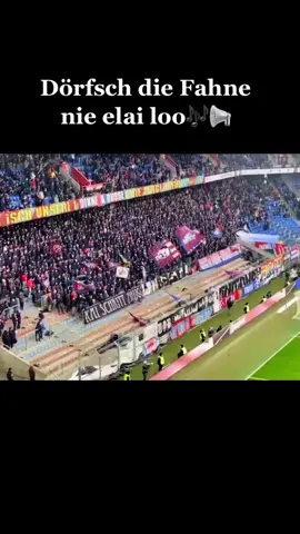 Basel dehei gege Sion🔴🔵 #baselfans #12maa #ultras #freeultras #muttenzerkurve #