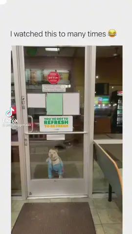 🤣🤣🤣🤣