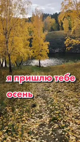 #осень #стихи #лирика