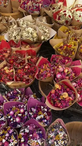 i got the orange ones! USQ market perfect for v-Day 💐 #ValentinesDay #foryou #nyc #newyorkcity #SelfCare #aesthetic #nycvlog #flowermarket