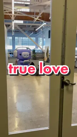 valentine’s day IS coming up… #discord #wumpus #TrueLove