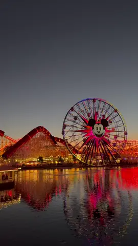 i need a pass asap 🥺 #disney #disneyland #californiaadventure #disneytrip #sweetheartnite #disneysweetheartnight