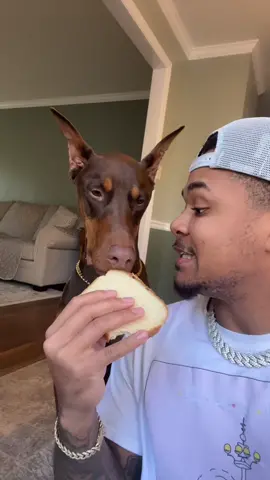 Did he pass? 🤣 #fyp#viral#knox#savvy